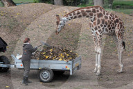 FEATURE - Pix of the Day: Bilder des Tages