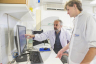 FEATURE - Der Heilige Gral der Paläontologie: Wissenschaftler finden das mit 558 Mio Jahre älteste Tier der Welt in einer Versteinerung