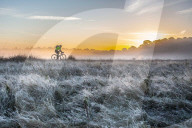 FEATURE - Pix of the Day: Bilder des Tages