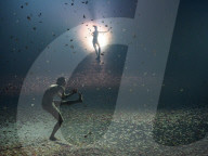 FEATURE - Pix of the Day: Bilder des Tages