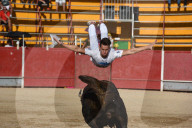 FEATURE - Pix of the Day: Bilder des Tages