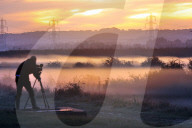 FEATURE - Pix of the Day: Bilder des Tages