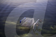 FEATURE - Pix of the Day: Bilder des Tages