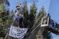 NEWS - Deutschland: Besetzung im Hambacher Forst