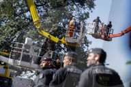 NEWS - Deutschland: Besetzung im Hambacher Forst