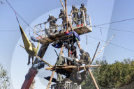 NEWS - Deutschland: Besetzung im Hambacher Forst