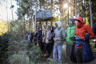 NEWS - Deutschland: Besetzung im Hambacher Forst