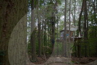 NEWS - Deutschland: Besetzung im Hambacher Forst