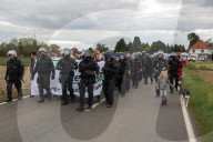NEWS - Deutschland: Besetzung im Hambacher Forst