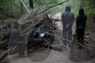 NEWS - Deutschland: Besetzung im Hambacher Forst