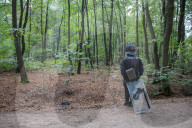 NEWS - Deutschland: Besetzung im Hambacher Forst