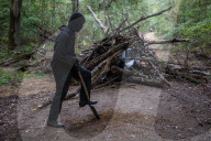 NEWS - Deutschland: Besetzung im Hambacher Forst