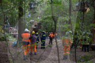 NEWS - Deutschland: Besetzung im Hambacher Forst