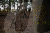 NEWS - Deutschland: Besetzung im Hambacher Forst