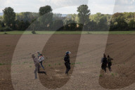 NEWS - Deutschland: Besetzung im Hambacher Forst