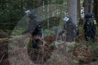 NEWS - Deutschland: Besetzung im Hambacher Forst