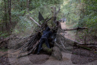 NEWS - Deutschland: Besetzung im Hambacher Forst