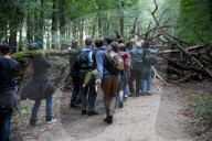NEWS - Deutschland: Besetzung im Hambacher Forst