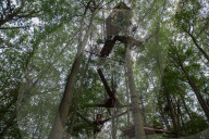 NEWS - Deutschland: Besetzung im Hambacher Forst