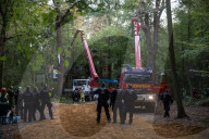 NEWS - Deutschland: Besetzung im Hambacher Forst