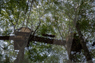 NEWS - Deutschland: Besetzung im Hambacher Forst