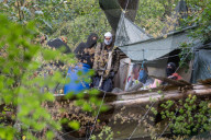 NEWS - Deutschland: Besetzung im Hambacher Forst