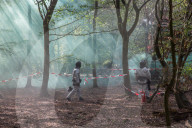 NEWS - Deutschland: Besetzung im Hambacher Forst