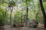 NEWS - Deutschland: Besetzung im Hambacher Forst