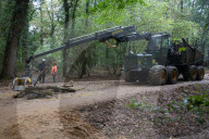 NEWS - Deutschland: Besetzung im Hambacher Forst