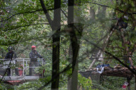 NEWS - Deutschland: Besetzung im Hambacher Forst