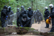 NEWS - Deutschland: Besetzung im Hambacher Forst