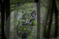 NEWS - Deutschland: Besetzung im Hambacher Forst