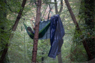 NEWS - Deutschland: Besetzung im Hambacher Forst