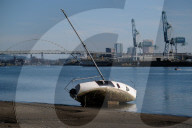 FEATURE - Pix of the Day: Bilder des Tages