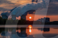 FEATURE - Pix of the Day: Bilder des Tages