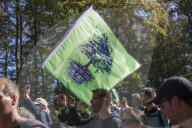 NEWS - Die RÃ¤umung des Hambacher Forsts geht weiter