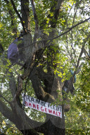 NEWS - Die RÃ¤umung des Hambacher Forsts geht weiter