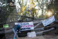 NEWS - Die RÃ¤umung des Hambacher Forsts geht weiter