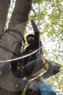 NEWS - Die RÃ¤umung des Hambacher Forsts geht weiter