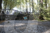 NEWS - Die RÃ¤umung des Hambacher Forsts geht weiter