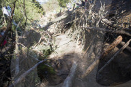 NEWS - Die RÃ¤umung des Hambacher Forsts geht weiter