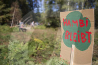 NEWS - Die RÃ¤umung des Hambacher Forsts geht weiter
