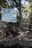 NEWS - Die RÃ¤umung des Hambacher Forsts geht weiter