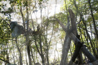 NEWS - Die RÃ¤umung des Hambacher Forsts geht weiter
