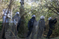 NEWS - Die RÃ¤umung des Hambacher Forsts geht weiter
