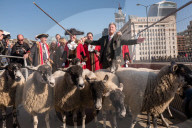FEATURE - Pix of the Day: Bilder des Tages