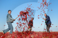 FEATURE - Pix of the Day: Bilder des Tages