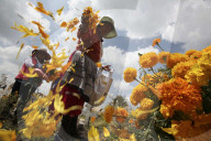 FEATURE - Pix of the Day: Bilder des Tages