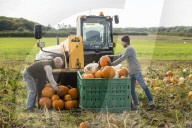 FEATURE - Pix of the Day: Bilder des Tages