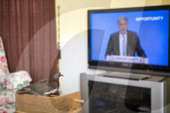 FEATURE - Hat einen Vogel: Ruheständler zieht verlassenes Taubenküken auf